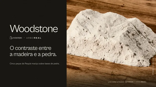 O material da Woodstone aberto numa tela de computador, com a versão de celular na frente