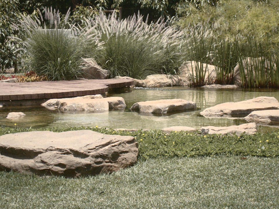 Um lago ornamental com pedras grandes, um deck de madeira e capim ornamental