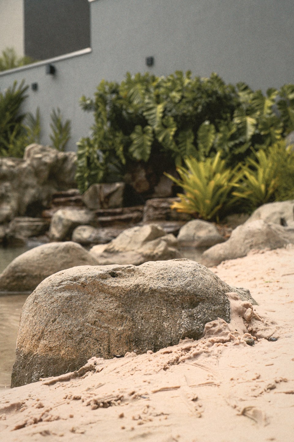 Pedras artesanais sobre a areia, entre plantas, junto a uma casa